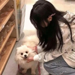 stadia云游戏平台下载